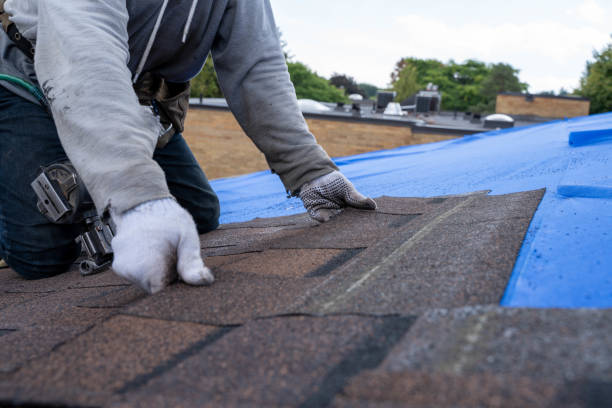 Best Roof Gutter Cleaning  in Monroe, LA