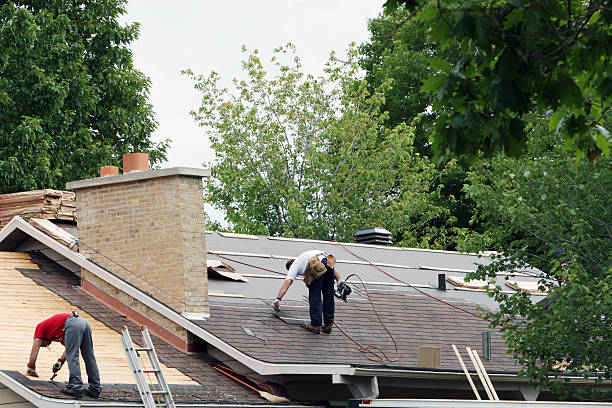 Best Roof Gutter Cleaning  in Monroe, LA