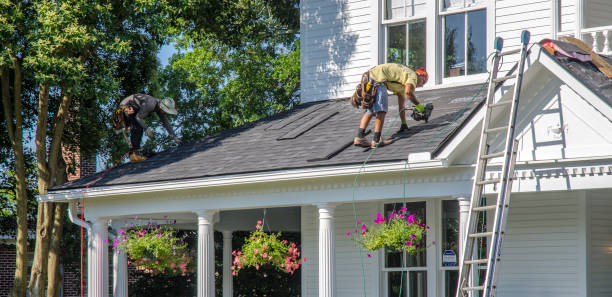 Roof Gutter Cleaning in Monroe, LA